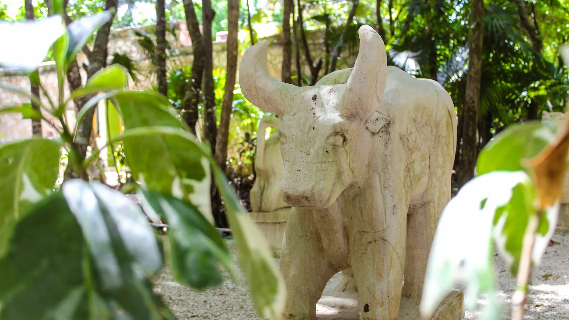 Xolumado Inspiration Village By Karisma Playa Paraiso Hotel
